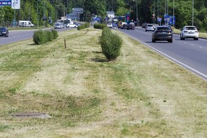 Lietuvoje fiksuojama hidrologinė sausra