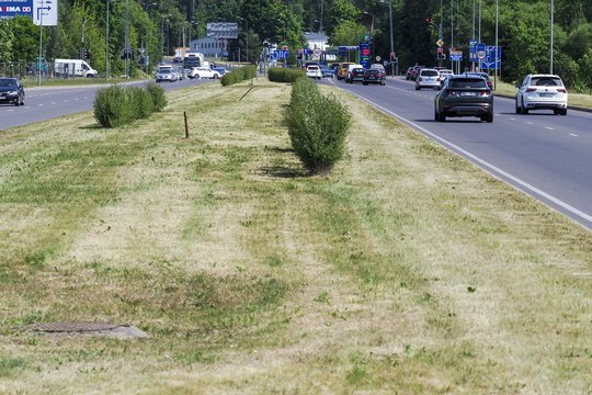 Lietuvoje fiksuojama hidrologinė sausra