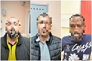 Ir su padirbtu, ir su svetimais dokumentais – pasieniečių neapgavę keliautojai nuosprendžio lauks už grotų