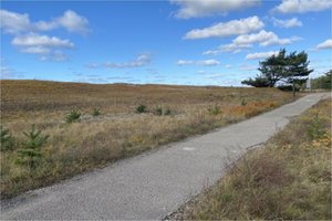 Smiltynėje vyks rekonstruoto Kuršių nerijos pėsčiųjų ir dviračių tako atidarymas