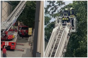 Dviejų katinų gelbėjimo operacija Kaune: kol ugniagesiai važiavo, darbo ėmėsi praeiviai