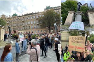 Kantrybės taurė perpildyta: šimtai vilniečių sukilo prieš užmojį kirsti 9 medžius