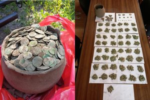 Metalo detektoriaus savininko sėkmė: aptiko beveik 5000 monetų lobį – „sukėlė džiaugsmo ašaras“