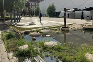 Naujame sostinės Vingrių skvere formuojasi bala, savivaldybė ramina – taip ir turi būti