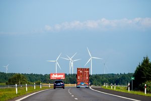 Statistika negailestinga – greitis žudo