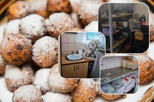 Sunku patikėti, kokiomis sąlygomis buvo gaminamos Palangoje pardavinėtos spurgos: voratinkliai ir musės – dar ne viskas