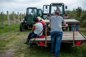 Siūlo keisti informavimo apie sodininkų bendrijų susirinkimų tvarką