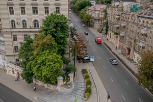 Pasiektas susitarimas dėl medžių prie R. Gary paminklo: nebus jokių greitų veiksmų