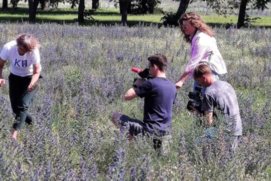 Kontroversiškai vertinta iniciatyva nešienauti pievų tęsiama uostamiestyje: mokslininkai džiaugiasi sprendimu