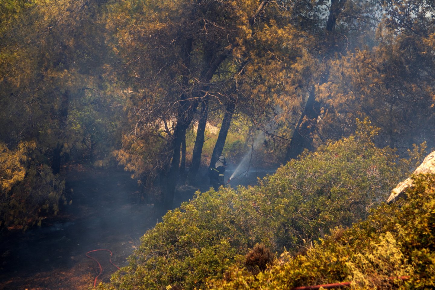 Miškų gaisrai Rodo saloje, Graikijoje.<br>EPA-ELTA nuotr.