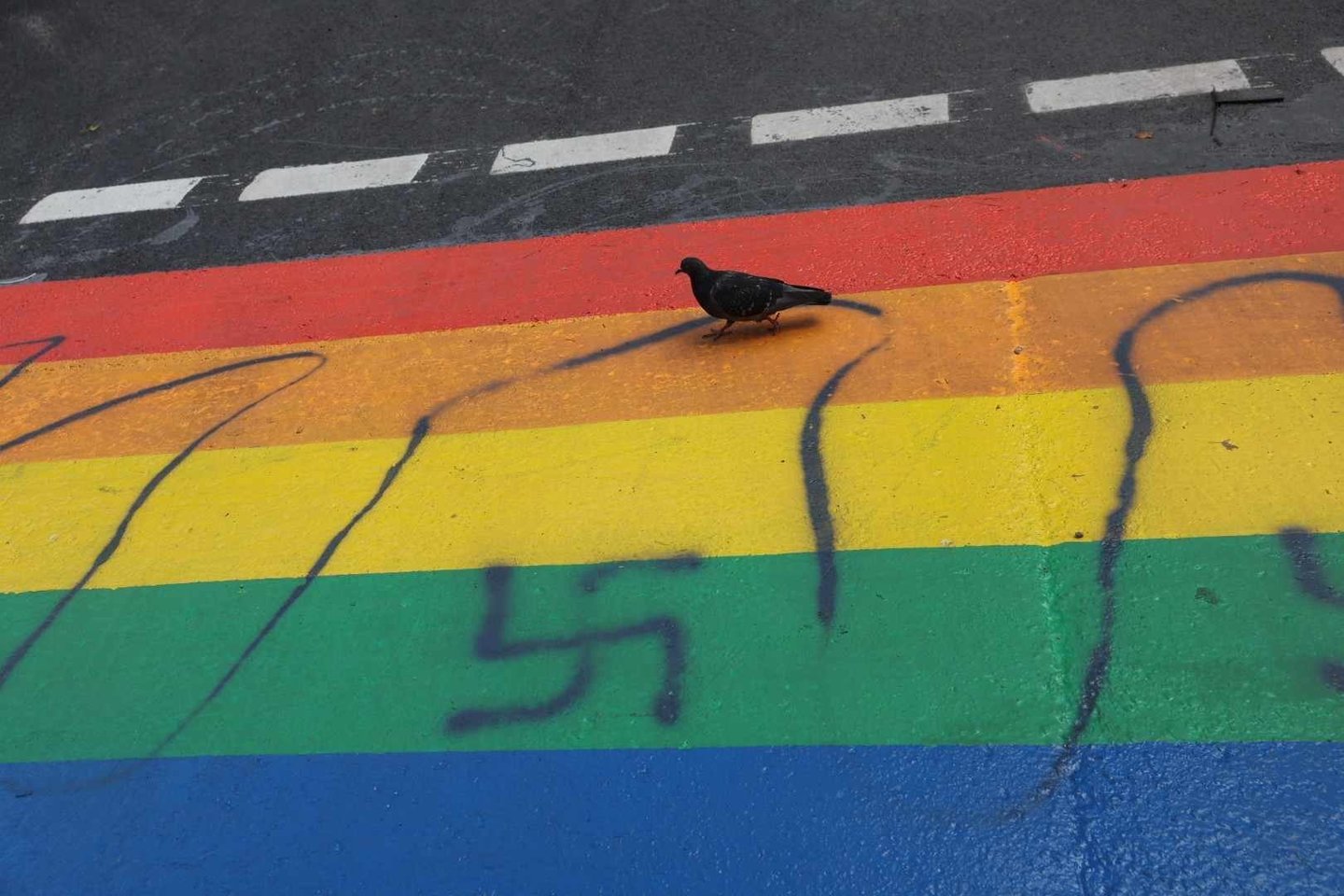 Vaivorykštės spalvų perėja sostinės Pylimo gatvėje jau kelis metus neatsigina vandalų.<br>R.Danisevičiaus nuotr.