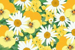 Iššūkis atidžiausiems: ar matote tarp gėlių pasislėpusį vabalą?