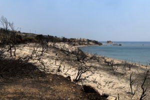 Per gaisrus Alžyre žuvo 15 žmonių, 26 buvo sužeisti