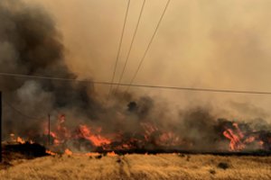Nuo tylaus rusenimo kalnuose – iki visiško košmaro: paaiškino, kodėl Rodo sala žaibiškai virto pragaru