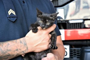 Gelbėtojai mažam kačiukui padovanojo antrą gyvenimą: kad pakliuvo į bėdą išdavė garsus verksmas