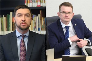 V. Mitalas įvardijo esminį A. Dulkio sveikatos reformos trūkumą: „Šitas kelias gali baigtis gana dideliais nuostoliais“