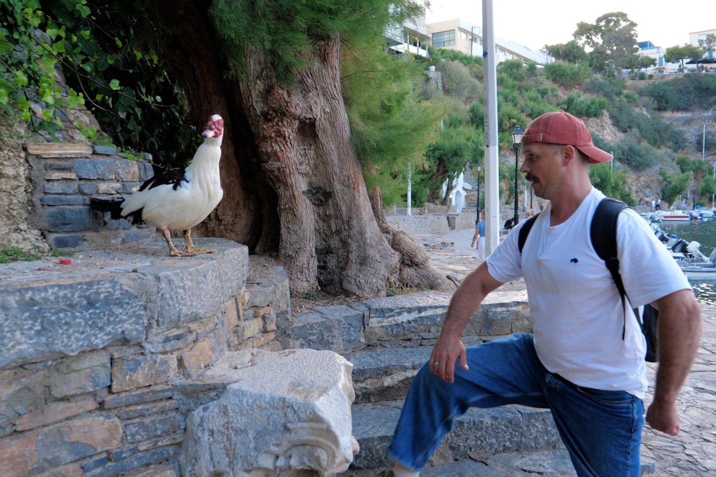 Akimirkos iš kelionių.<br>Tomo Petrovskio/tomasfoto.lt nuotr.