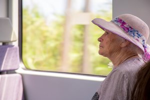 Vaizdelis Kauno troleibuse keleivę išmušė iš vėžių: senutė net raudojo balsu