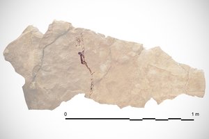 Senoviniai piešiniai liudija, kad žmonija alpinizmu užsiiminėjo jau prieš tūkstančius metų