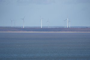 Žiniasklaida: jūrinio vėjo parko konkurso rezultatai Lietuvoje vargiai gali lygiuotis su aukcionais užsienyje