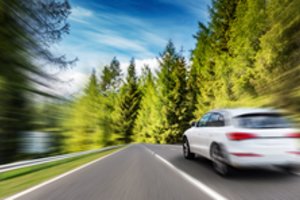 Saugaus eismo ekspertas: netgi dykumoje pasipainioja karvė, tad kodėl mes leidžiame sau greitį viršyti mieste?