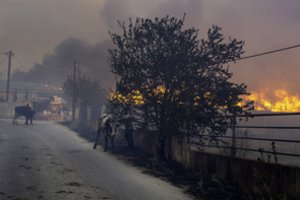 Po gaisro sukelto sprogimo šaudmenų sandėlyje Vidurio Graikijoje įsakyta evakuoti žmones