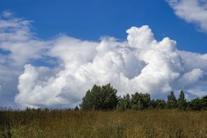 Pietų vėjai atneš ne tik šiltesnį orą, bet ir tankesnius debesis: kai kur gali sugriaudėti perkūnija