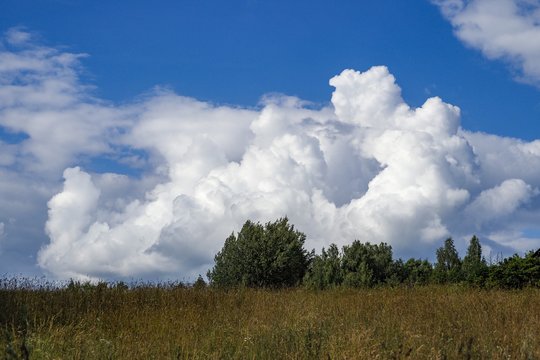 Pietų vėjai atneš ne tik šiltesnį orą, bet ir tankesnius debesis: kai kur gali sugriaudėti perkūnija