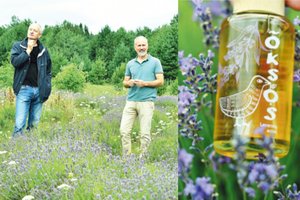 Pluša levandų laukuose: vienas vyras rūpinasi augalais, o kolega gamina actą-toniką