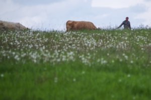 Savivaldybės ruošiasi perimti 120 tūkst. hektarų NŽT valdomos miestų žemės