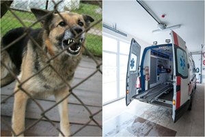 Klaipėdoje šuns apkandžiota nepilnametė atsidūrė ligoninėje