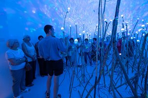 Meno poveikis gerai žmogaus savijautai: Lietuvos nacionalinis dailės muziejus ir „Mindletic“ atskleidžia tyrimo rezultatus