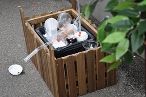 Tvarumo ekspertas: suskaičiuotos dienos tų verslų, kurie gamina vienkartinius daiktus