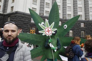 Ukrainoje kelią į legalizavimą sunkiai skinasi medicininės kanapės: palaiko ir V. Zelenskis