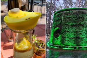 Birštono kavinėje vaizdas poilsiautojus išmušė iš vėžių: „Net nupurtė“