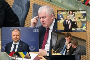 Po A. Anušausko ir opozicijos akistatos traukia melo detektoriaus kortą: nuskambėjo ir ministro pareiškimas