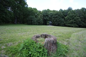 Baiminamasi dėl Kauno žaliosios karūnos likimo: „Rizikuojame netekti sengirės palikimo“