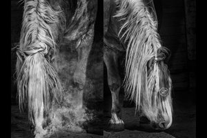 Kai oro sąlygos paveikia fotografo mąstymą