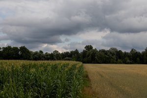 Pareigūnai: trečiadienį iš Baltarusijos į Lenkiją bandė nelegaliai patekti 86 žmonės