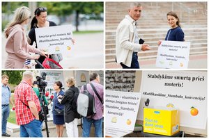 Vilniuje – piketas, raginantis ratifikuoti Stambulo konvenciją: paaiškino svarbiausią uždavinį