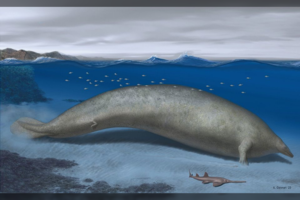 Mokslininkai skelbia aptikę sunkiausią Žemės gyvūną