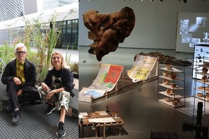 Nacionalinėje dailės galerijoje įveista pelkė kviečia keisti pasaulį