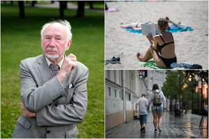 Prof. L. Klimka apie tai, kokia likusi vasara laukia: nudžiugins ne visus