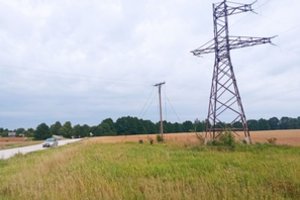 Kėdainių rajono gyventojus sukrėtė kraupus vaizdas