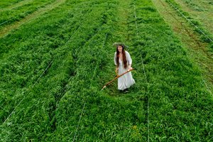 Nukarūnuotas nenugalimasis „Metų šienpjovys“ ir dalgio pergalė prieš trimerį