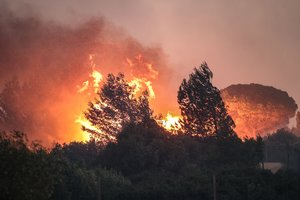Portugalijoje ir Ispanijoje gaisrai išdegino tūkstančius hektarų miškų