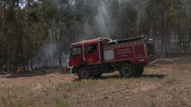 Portugaliją niokoja gaisrai: naikinami didžiuliai plotai žemės, sužaloti 11 žmonių