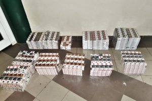 Sustiprinus sienos apsaugą pasienyje su Baltarusija – kontrabandininkai imasi naujų gudrybių