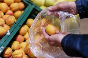 Susiginčijo dėl itin pavojingų cheminių medžiagų: nori uždrausti, bet neturi kuo pakeisti