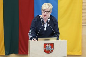 I. Šimonytė: pagrindo reikalauti A. Anušausko politinės atsakomybės šiuo metu nėra